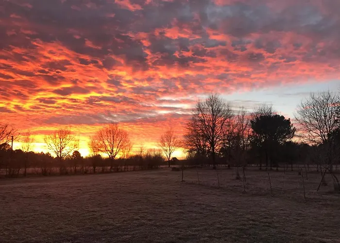 Maison Perigord Piscine Et